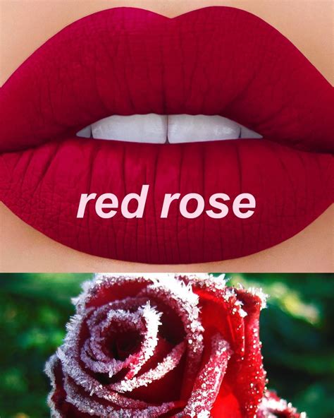 🌹 Red Rose 🌹 This Holiday Edition Cool Tone Red Compliments All