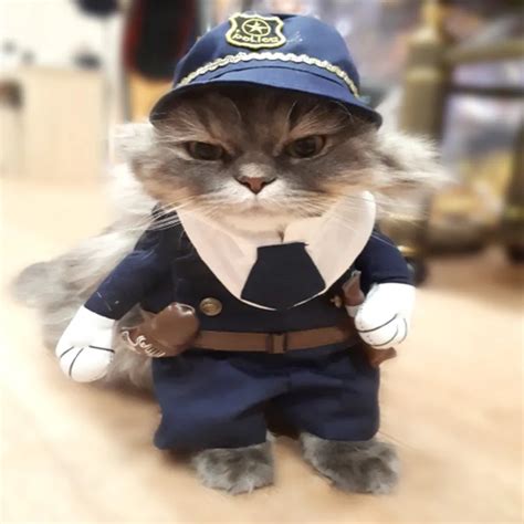 Funny Cat Costume Pirate Nurse Policeman Cat Clothes Fashion Halloween Corsair Halloween Costume