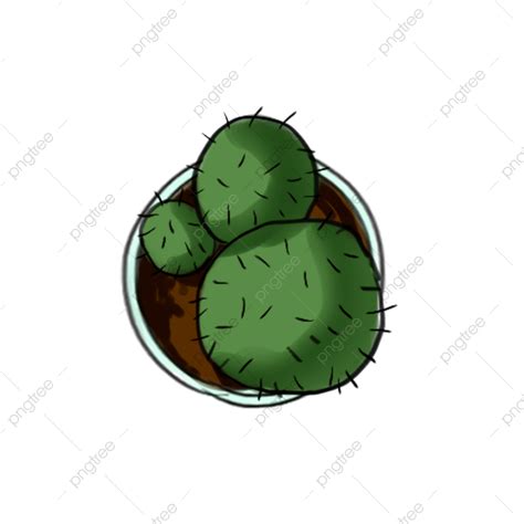 Prickly Pear Png Picture Prickly Pear Cactus Cactus Material Cactus