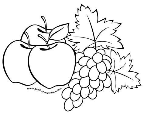 19 gambar sketsa buah terlengkap beserta manfaatnya. Gambar Mewarnai Buah Apel - Contoh Gambar Mewarnai