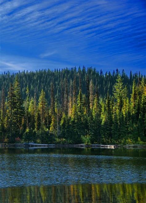 Lake Surrounded By Trees Natural Landmarks Lake Landmarks