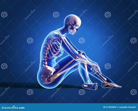 Woman Sitting On Floor With Bone Skeleton Stock Images Image
