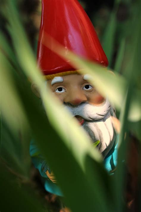 Hd Wallpaper Gnome Standing On Green Grass During Daytime Shallow