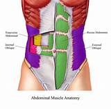 Images of Abdominal Exercises For Seniors