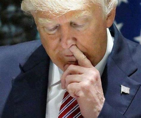 Trump Picking His Nose Blank Template Imgflip