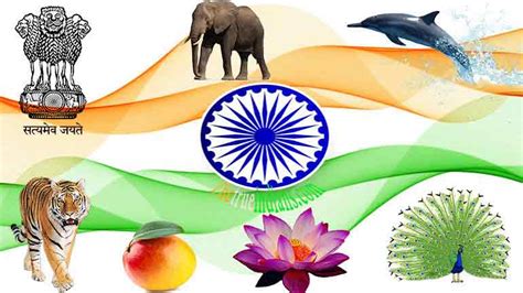 16 Accepted National Symbols Of India You Must Know