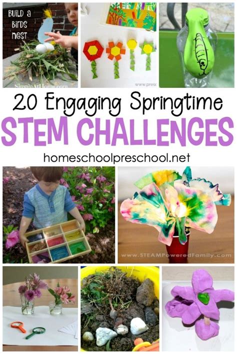 20 Engaging Spring Stem Activities For Preschoolers Spring Stem