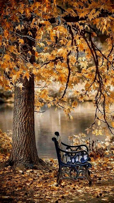 1920x1080px 1080p Free Download Nature Autumn Bench Fall Fall