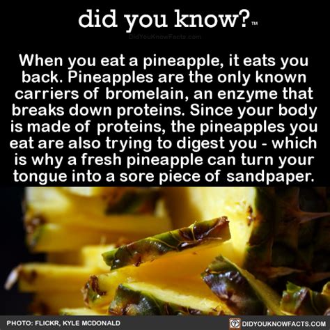 When You Eat A Pineapple It Eats You Back Did You Know