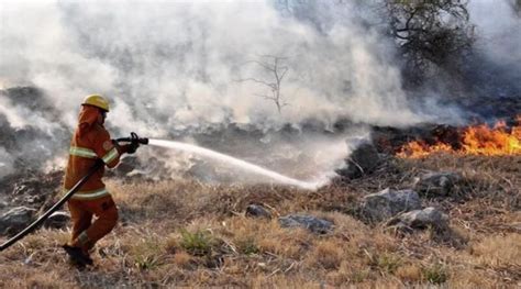 Detuvieron A Dos Personas Acusadas De Haber Causado Incendios Forestales Ladecima