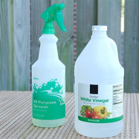 Cleaning vinegar has a bit more punch, but watch on the other hand, good old white vinegar can cut right through those burnt spots. Is White Vinegar a Good Bug Repellent? | Homemade bug ...