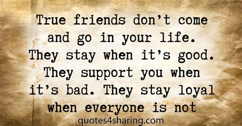True Friends Dont Come And Go In Your Life They Stay When Its Good