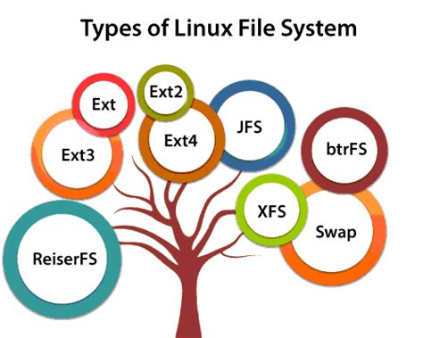Linux File System Javatpoint