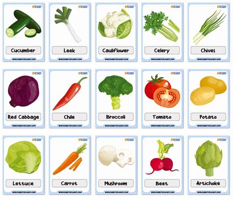 Vegetables Vocabulary Flashcards Worksheets Planet Flashcards