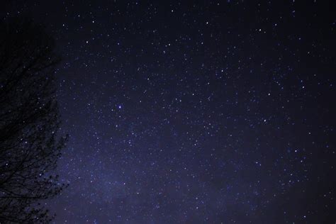 Wallpaper Starry Night Sky Over The Starry Night Background Download Free Image