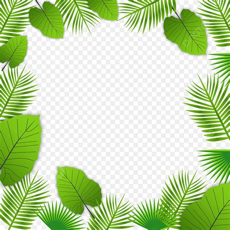 Dschungel Tropische Grüne Blätter Transparentes Rahmendesign Tropische