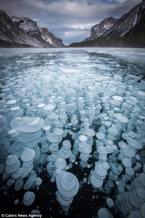 Icy Jellyfish No These Strange Phenomena Are Frozen Methane Bubbles