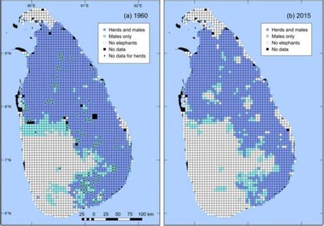 Sri Lankas First Data Based Elephant Distribution Map Could Resolve