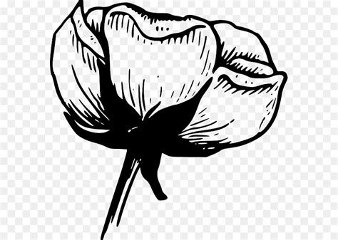 Gambar bunga kartun hitam putih untuk mewarna aneka sumber anekagambar13.blogspot.com. 20+ Inspirasi Gambar Bingkai Bunga Mawar Hitam Putih ...