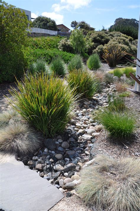 A guide to drought resistant plants, irrigation, soils, mulch & style maureen gilmer. River Rock and Grasses