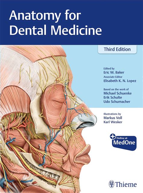 Anatomy For Dental Medicine 9781684200467 Thieme Webshop