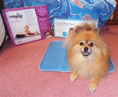 Keep your pet cool in summer | smarty pet cooling mat for dogs #marshallspetzone. Pepper's Paws: The Green Pet Shop Cool Pet Pad - Product ...