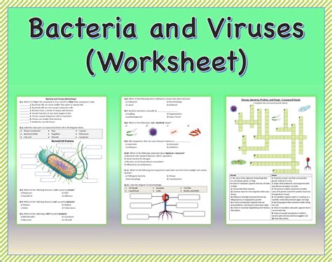 Bacteria And Viruses Worksheet Printable And Distance Learning Made By Teachers