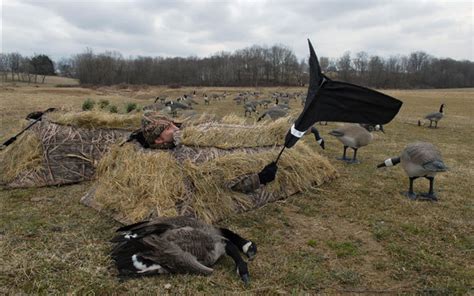 Goose Hunting Flagging 101 Grand View Outdoors