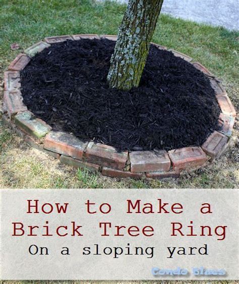 How To Make A Brick Tree Ring On Uneven Ground In 2020 Landscaping