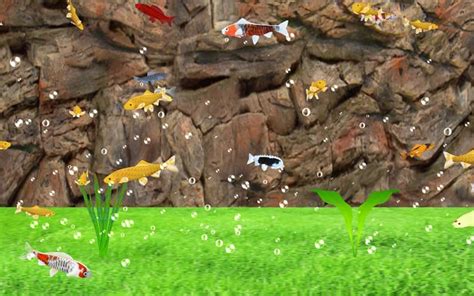 Realistic Koi Fish Screensaver Download
