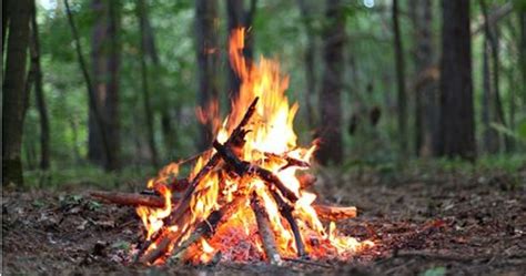 Simple Guide For Gathering Wood And Building A Fire 101 Ways To Survive