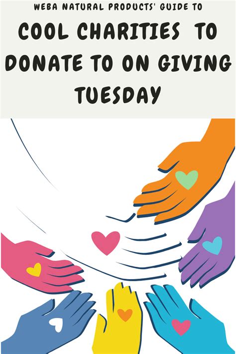 Cool Charities To Donate To On Giving Tuesday Weba Natural Products