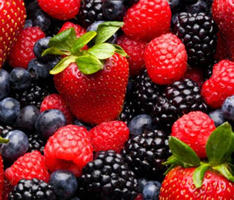 Your Guide to Berries, Berries, Berries - Girls Of T.O.