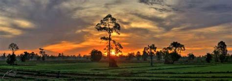 Panoramic Hdr Rice Field Sunrise Isan Buriram Thailand Hdr