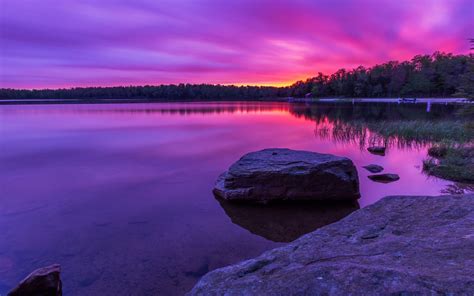 Wallpaper Purple Sunset Forest Lake Rocks 1920x1200 Hd Picture Image