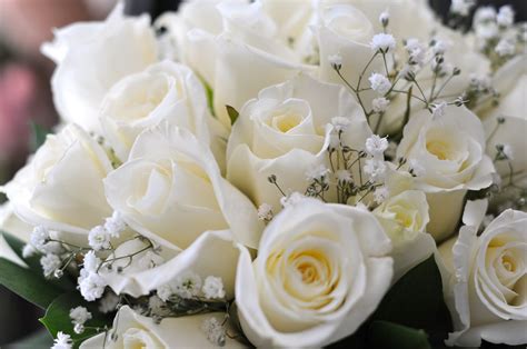 Forever88 White Rose Bridal Bouquets