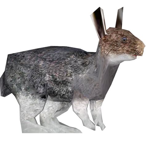 Snowshoe Hare Octavio17493 Zt2 Download Library Wiki Fandom