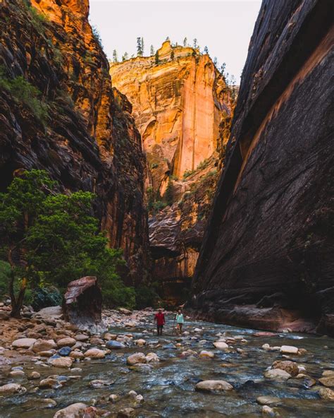All You Need To Know About Camping In Zion National Park