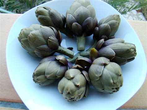 Artichauts vapeur violets de provence