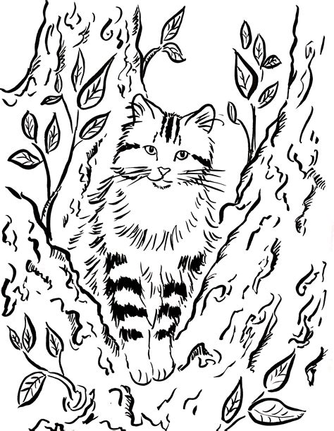 Cat In A Tree Coloring Page Art Starts
