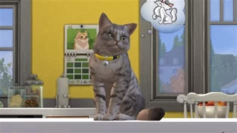 Sims 4 Cats And Dogs Dlc Lasopagrey