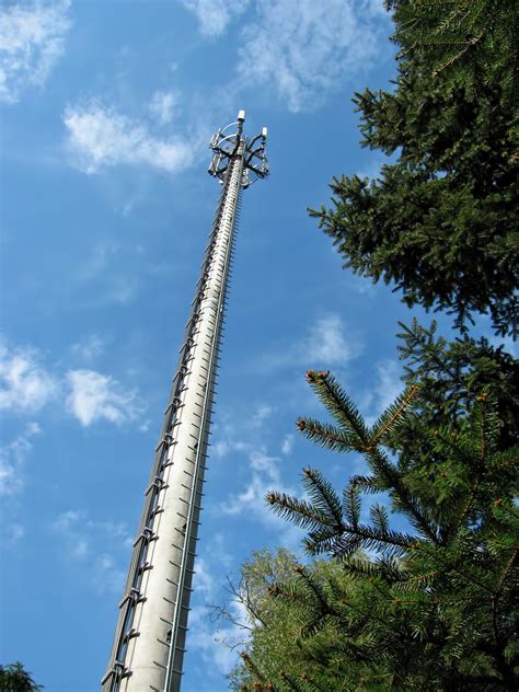 Kostenlose Foto Baum Turm Mast Park Wahrzeichen Blauer Himmel