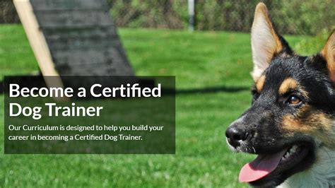 International School For Certified Dog Trainers — Become A Certified