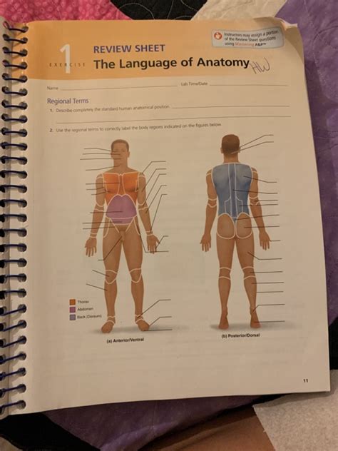 Anatomy And Physiology Lab Manual