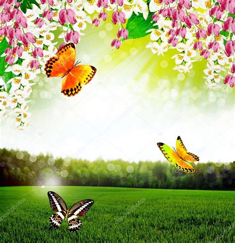 Imágenes: paisajes con mariposas | paisaje de verano ...