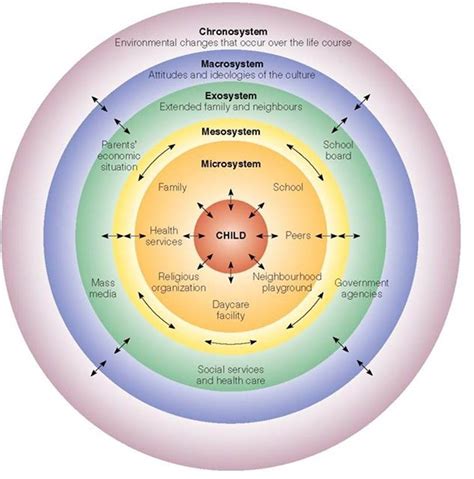 Adapted Diagram Of Bronfenbrenners Ecological Model Of Human Images