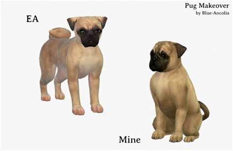Pug Makeover At Blue Ancolia Sims 4 Updates