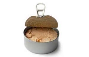 Can Cats Eat Tuna Fish: Raw or Canned?