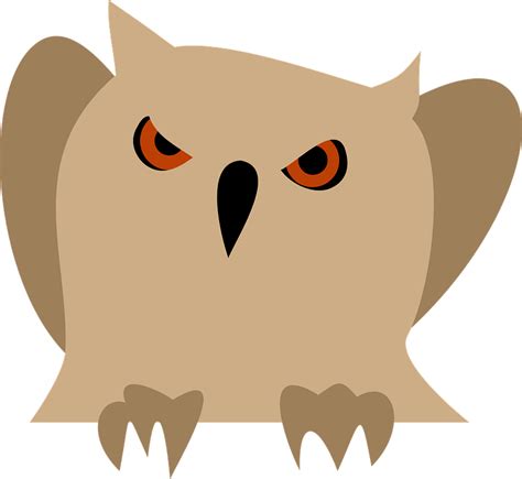 Free Vector Graphic Owl Animal Bird Angry Free Image On Pixabay