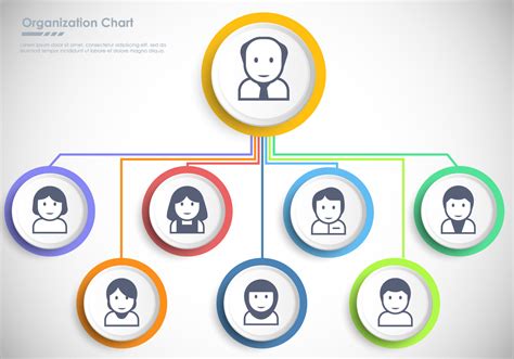 Graphic Organization Chart